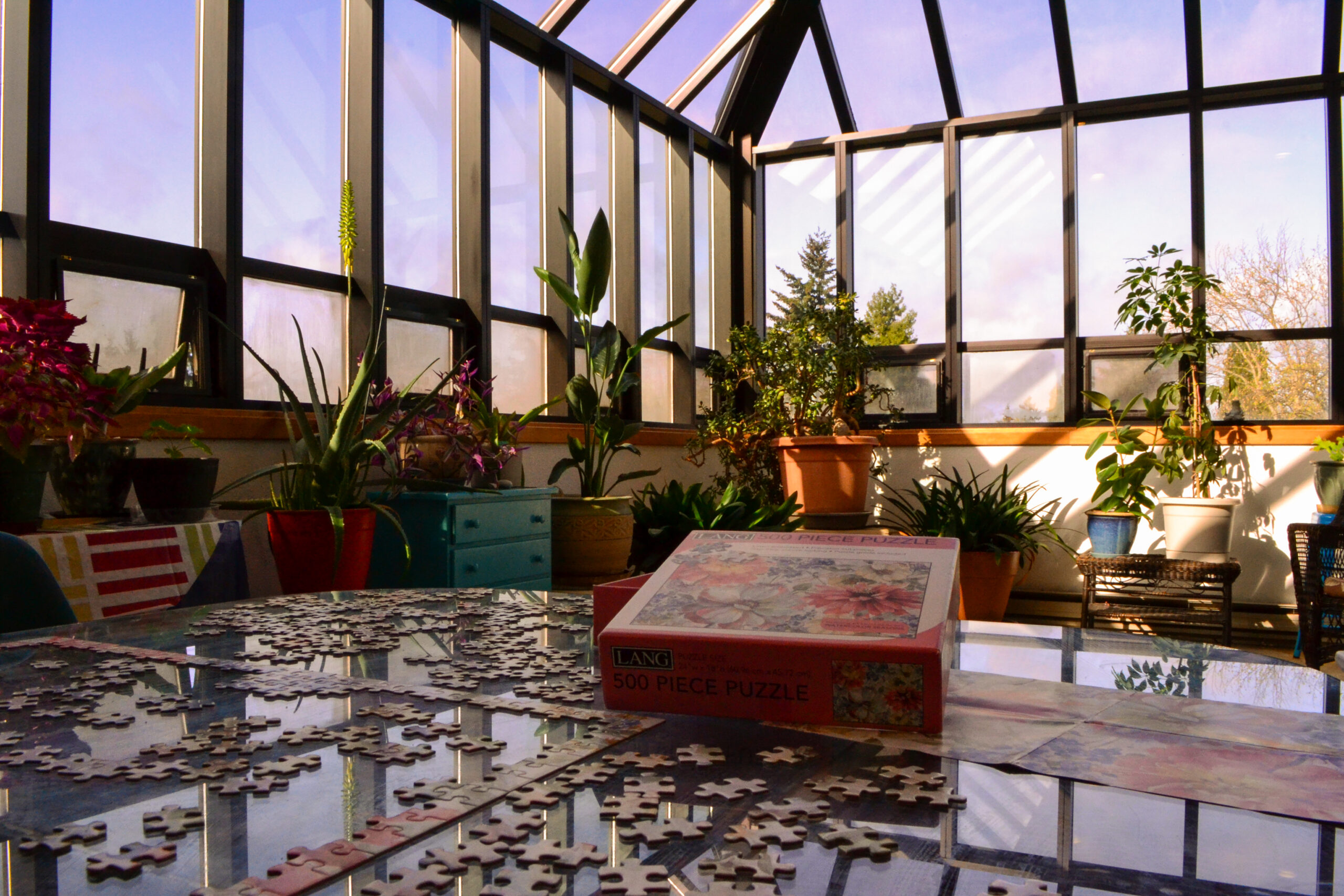 Puzzle-in-progress-in-the-Solarium-at-The-Abbey-of-Olympus-Retirement-in-Eugene-Oregon-April-2024-scaled